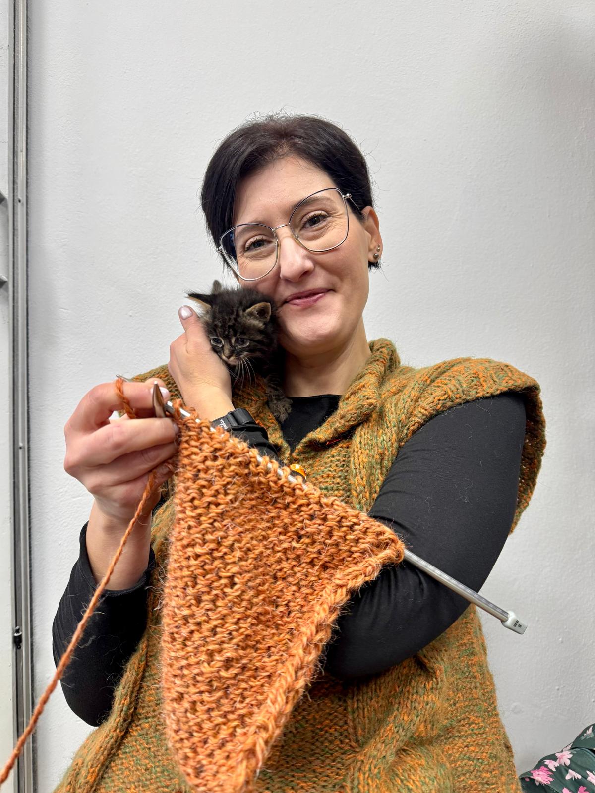 Gli spiegoni dell' Ire